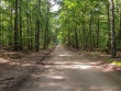 IMG_5145_1600