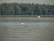 IMG_5157_1600