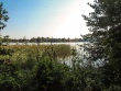 IMG_5169_1600