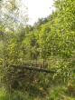 IMG_5188_1600