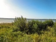 IMG_5200_1600
