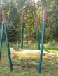 IMG_5229_1600