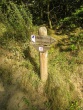 IMG_5231_1600