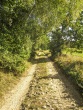 IMG_5233_1600