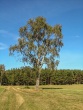 IMG_5254_1600