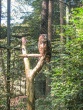 IMG_5284_1600