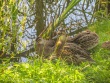 IMG_5290_1600