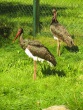 IMG_5291_1600