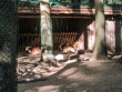 IMG_5328_1600