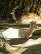 IMG_5329_1600