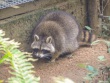 IMG_5359_1600