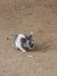 IMG_5361_1600