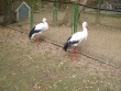 IMG_5366_1600