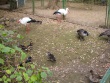 IMG_5370_1600