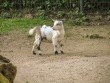 IMG_5372_1600