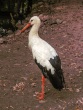 IMG_5379_1600