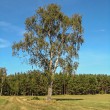 IMG_5254_1600