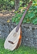 gitarrenlaute800