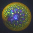 fractal-orb-1-1920
