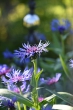 DSC_1054_1920