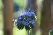 DSC_1058_1920