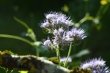 DSC_1095_1920