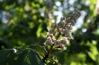 DSC_1102_1920