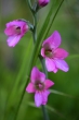 DSC_1169_1920