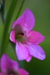 DSC_1170_1920