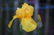 DSC_1174_1920