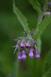 DSC_1183_1920