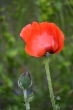 DSC_1186_1920