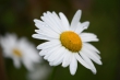 DSC_1188_1920