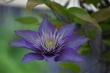 DSC_1200_1920