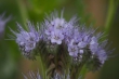 DSC_1204_1920