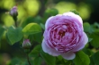 DSC_1212_1920
