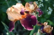 DSC_1247_1920