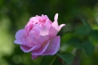 DSC_1256_1920