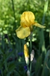DSC_1258_1920