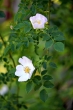 DSC_1284_1920