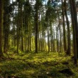 D72_0421-Bearbeitet-Bearbeitet1024