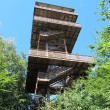 IMG_1096_1024