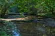 DSC_2674_1920