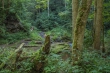DSC_2695_1920