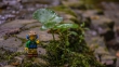 DSC_2717_1920