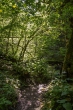 DSC_2835_1920