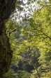 DSC_2946_1920