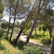 Antiker Park in Syrakus