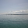 Hafen von Ortygia