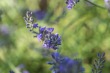 DSC_5067_1920